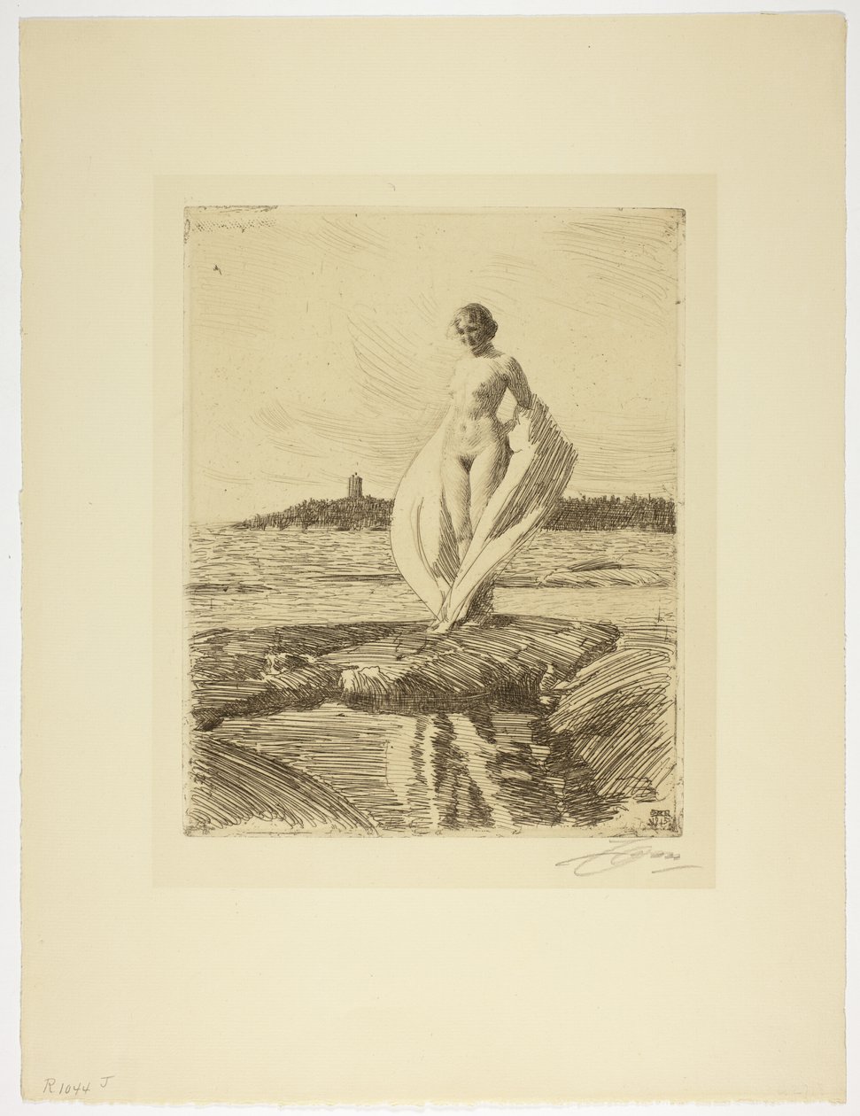 De zwaan door Anders Leonard Zorn