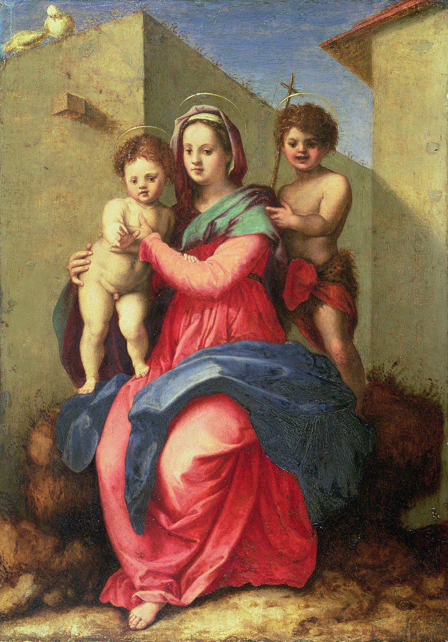 De Madonna en Kind met de Jonge St. Johannes (paneel) door Andrea del Sarto