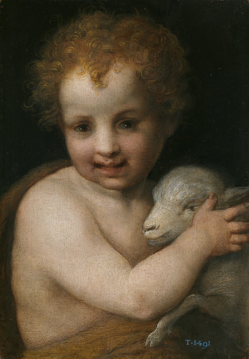 Johannes de Doper als Kind door Andrea del Sarto
