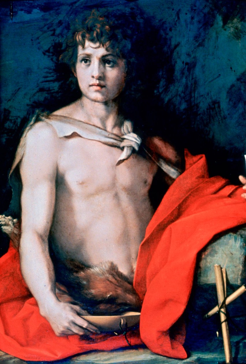 Johannes de Doper door Andrea del Sarto