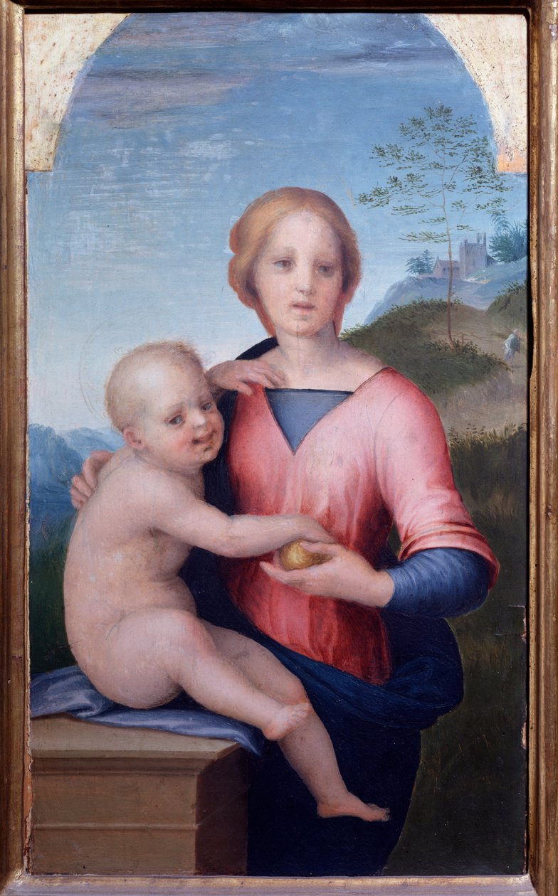 Maagd met kind door Andrea del Sarto