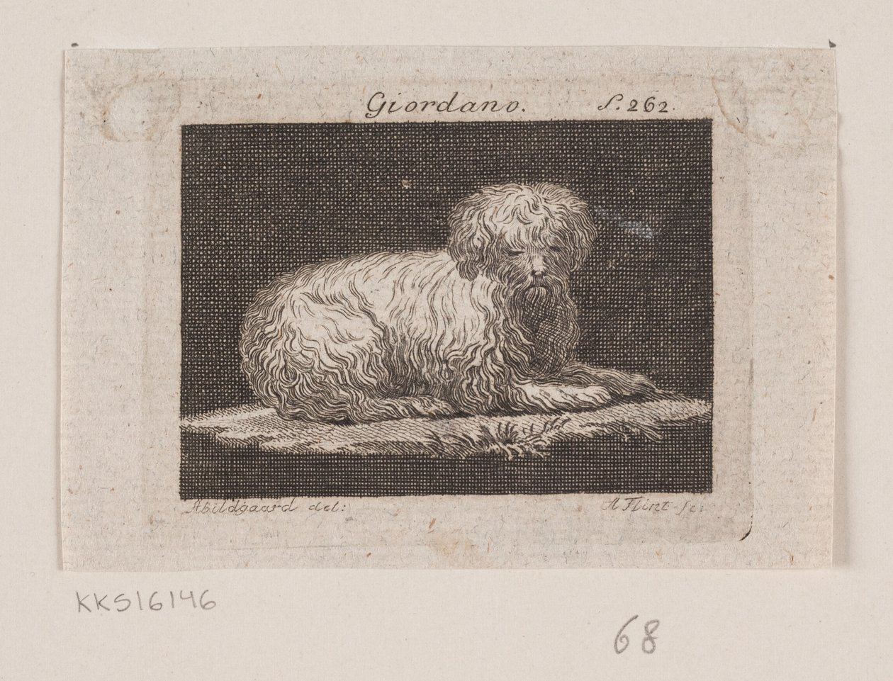 Giordano, een liggende hond door Andreas Flint