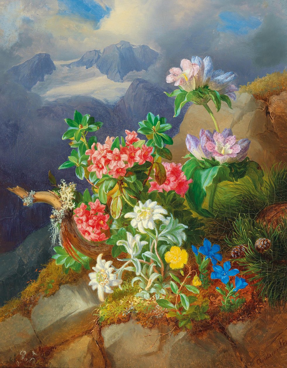 Alpenbloemen door Andreas Lach
