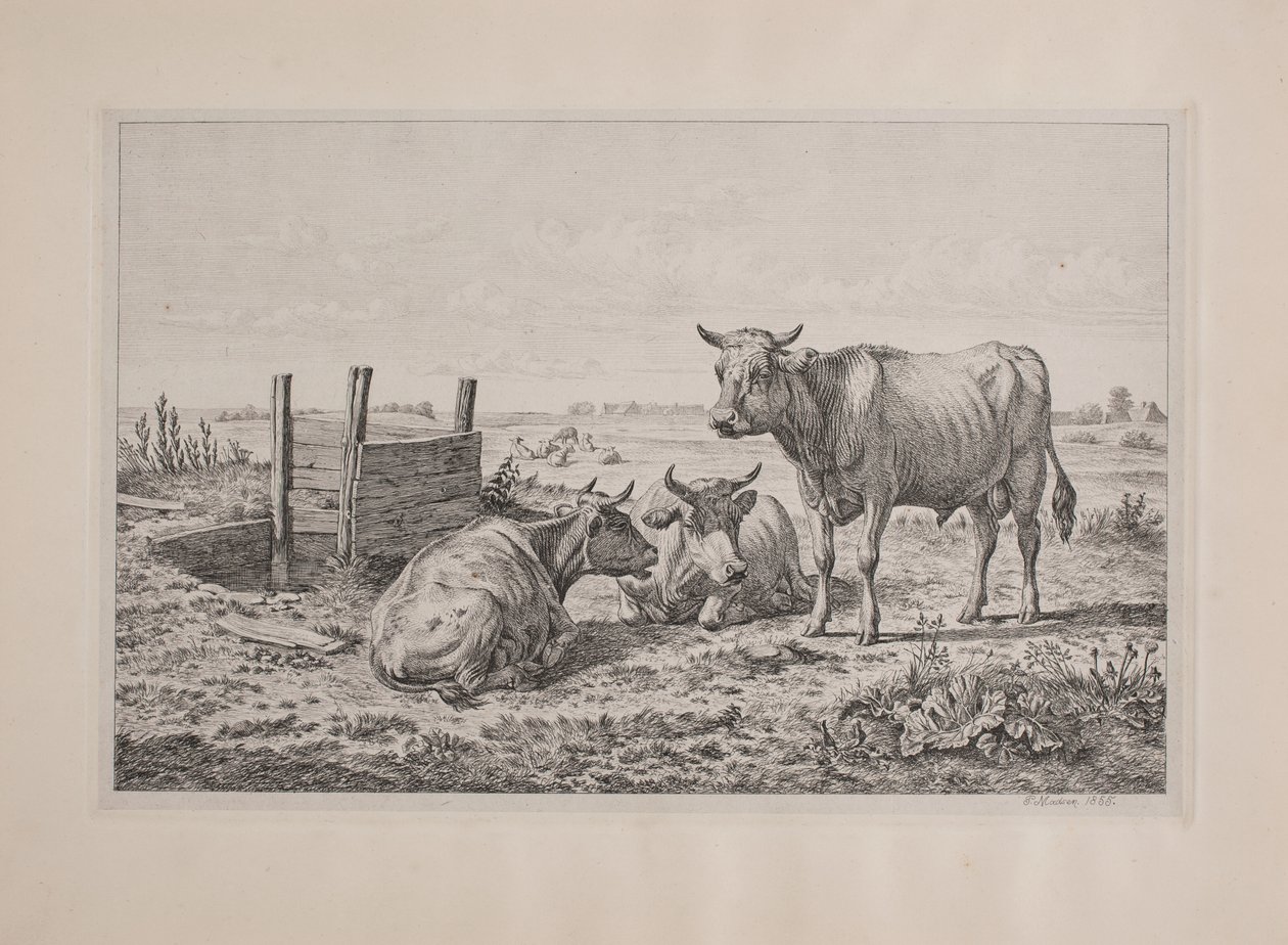 Deens: Een stier en twee koeien door Andreas Peter Madsen