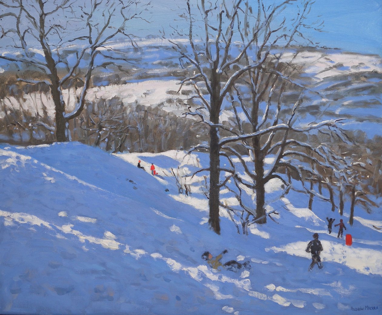 Zwarte rotsen, Derbyshire, 2009 door Andrew Macara