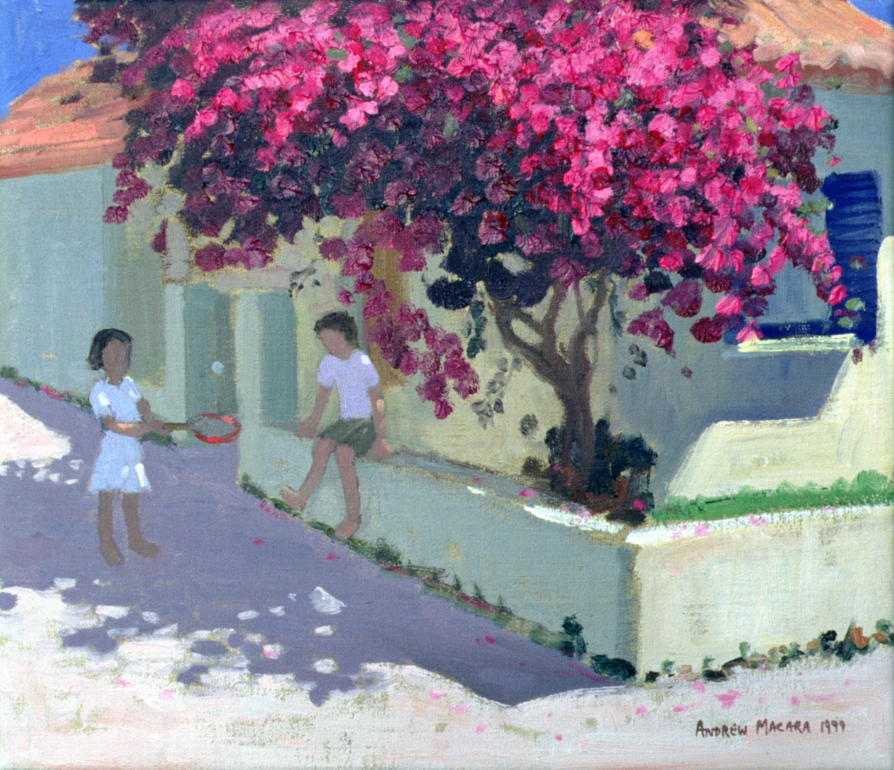 Bougainvillaea, Zante, 1999 door Andrew Macara