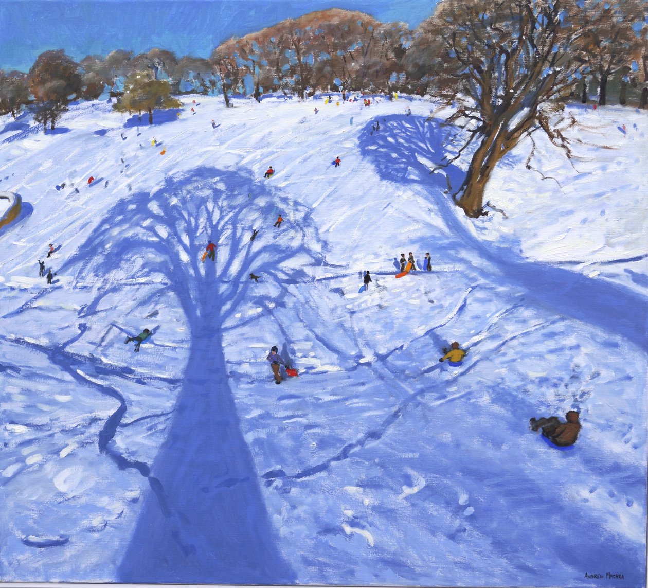 Chatsworth, winter boomschaduwen, 2013 door Andrew Macara