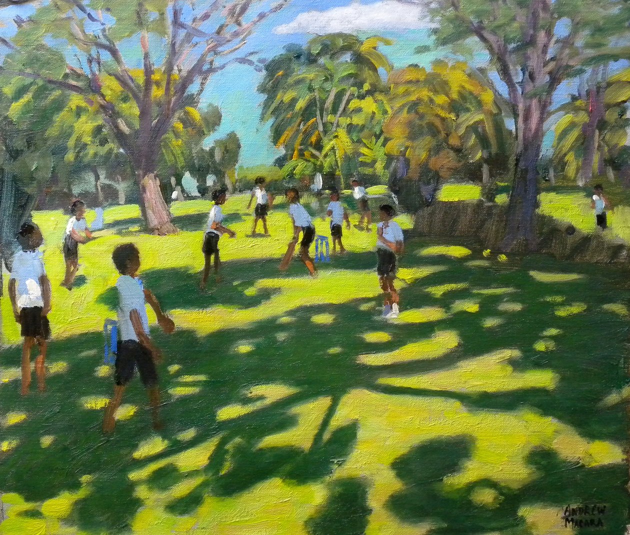 Cricket, 2011 door Andrew Macara