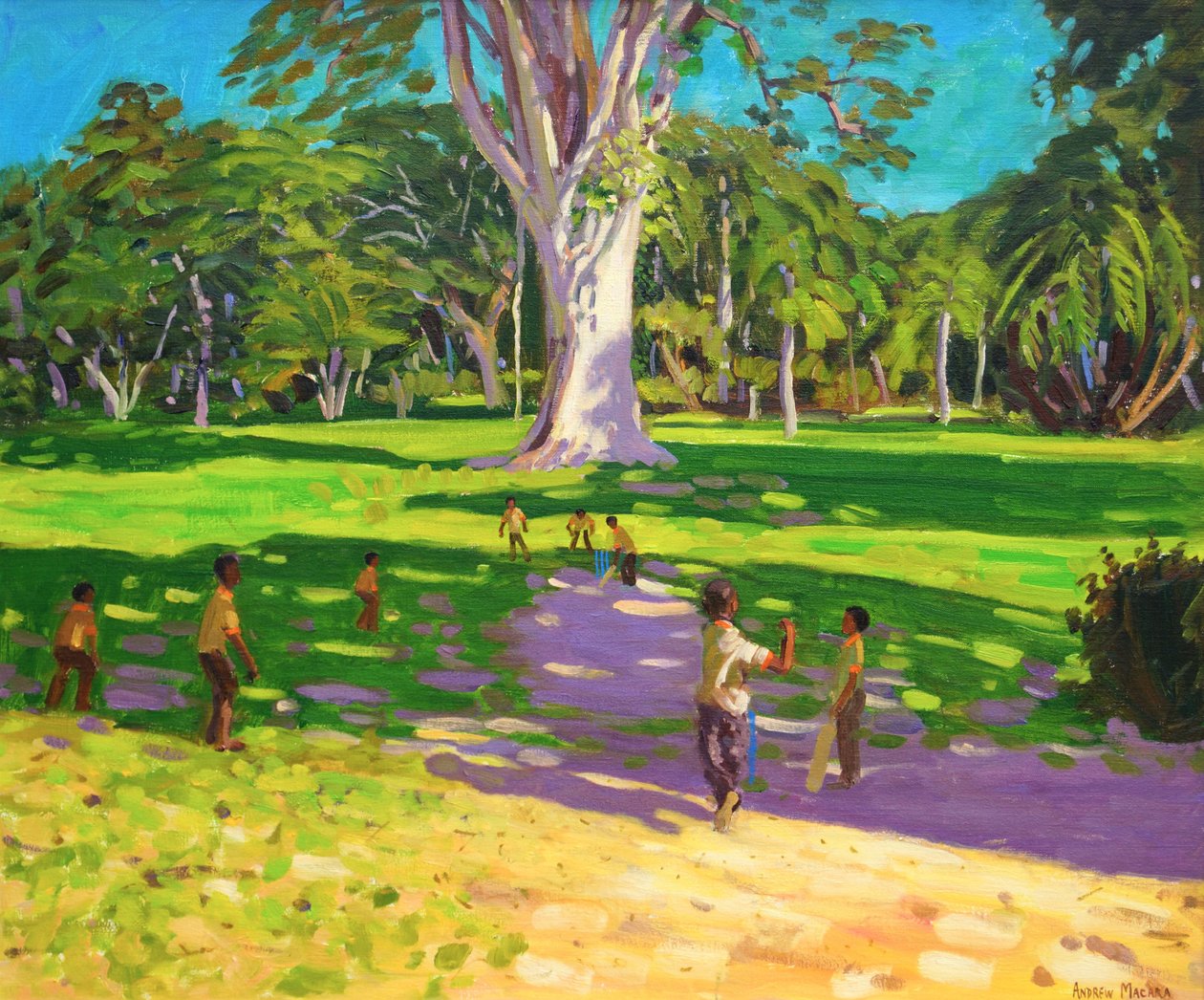 Cricketwedstrijd, Botanische Tuinen, Dominica, Grenadines, 2011 door Andrew Macara