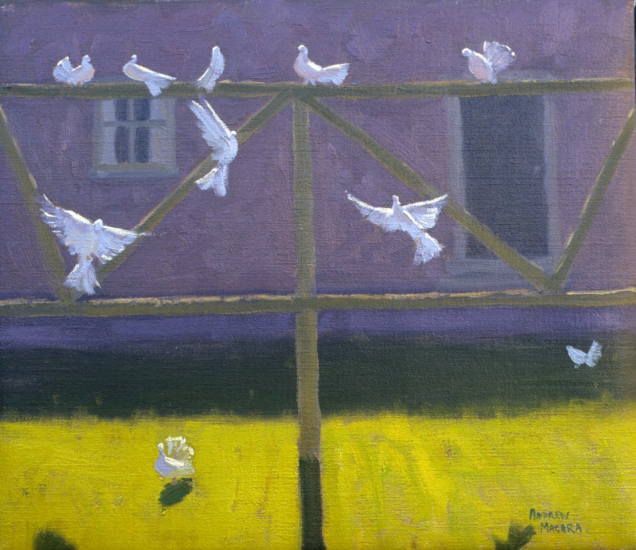 Duiven, 1999 door Andrew Macara