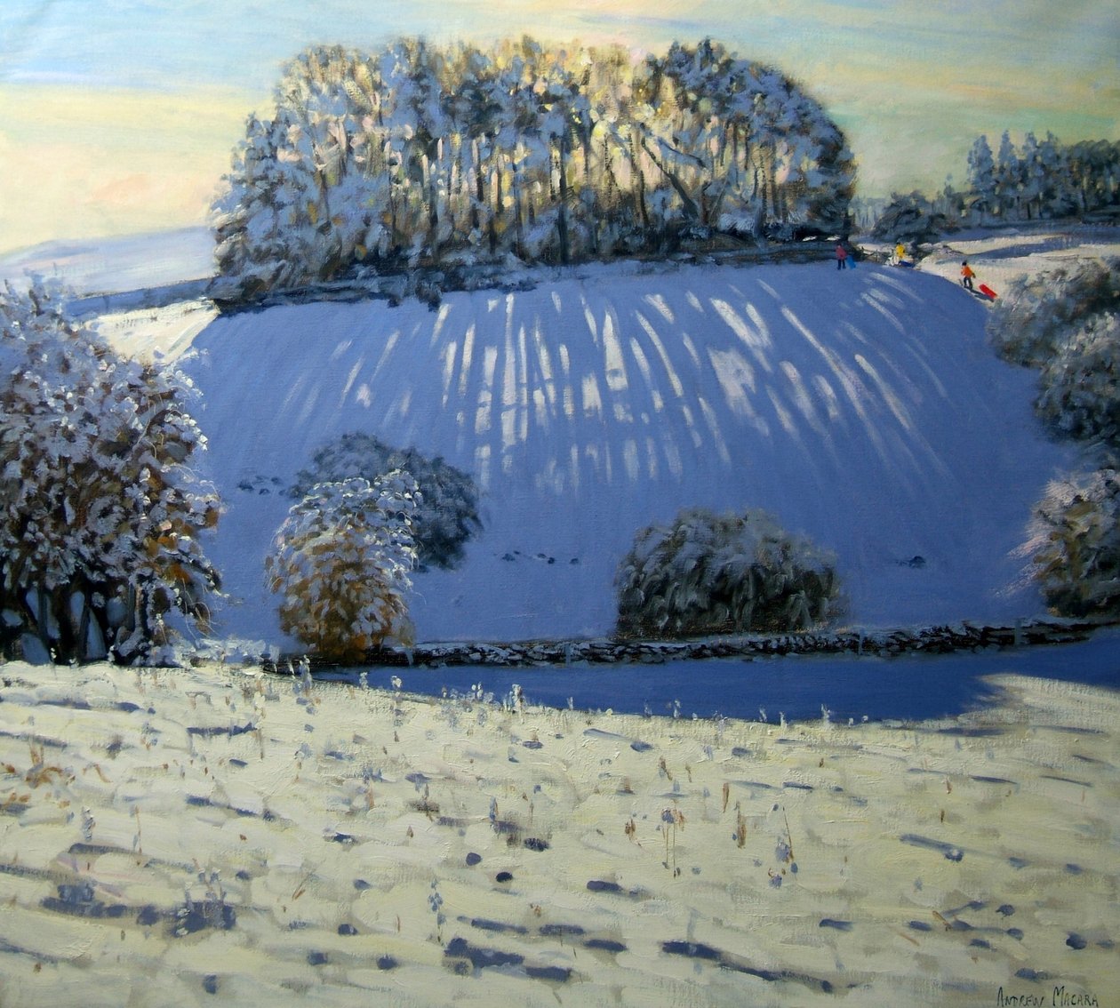 Veld van Schaduwen, nabij Youlgrave, Derbyshire door Andrew Macara