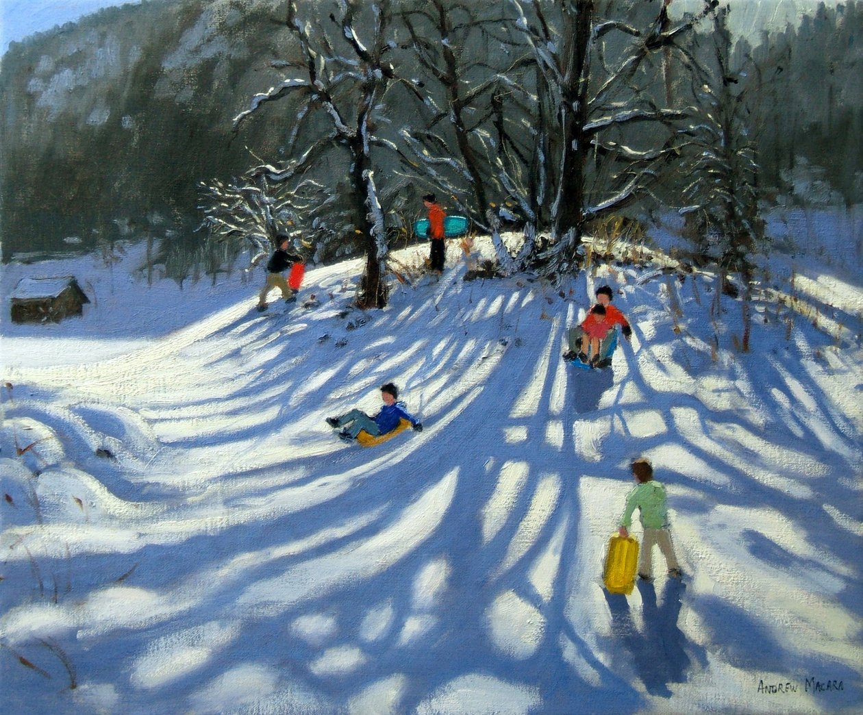 Plezier in de sneeuw, Morzine, Frankrijk door Andrew Macara