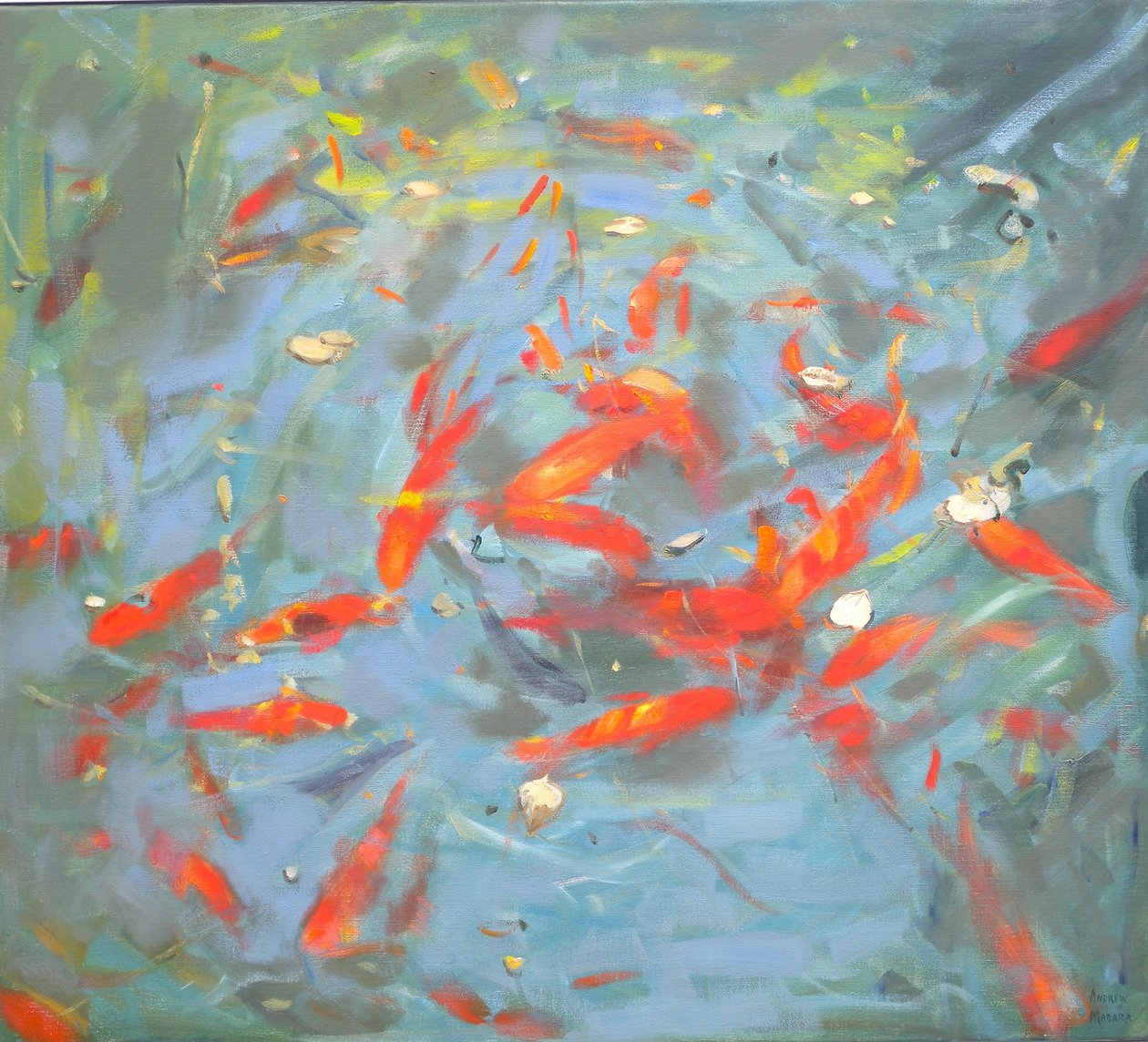 Goudvissen, 2010 door Andrew Macara