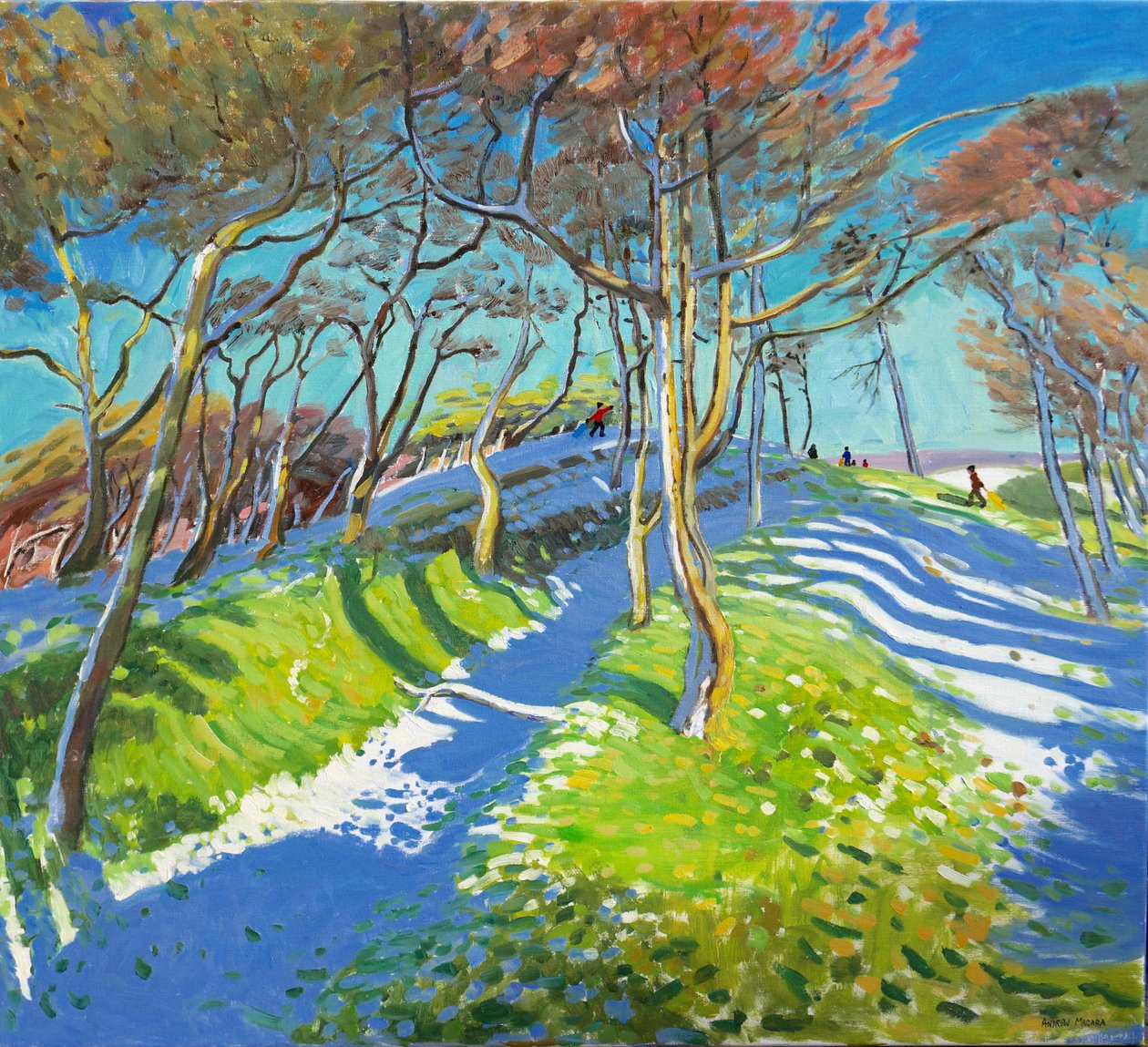 Laatste sneeuw, Ladmanlow, 2015 door Andrew Macara