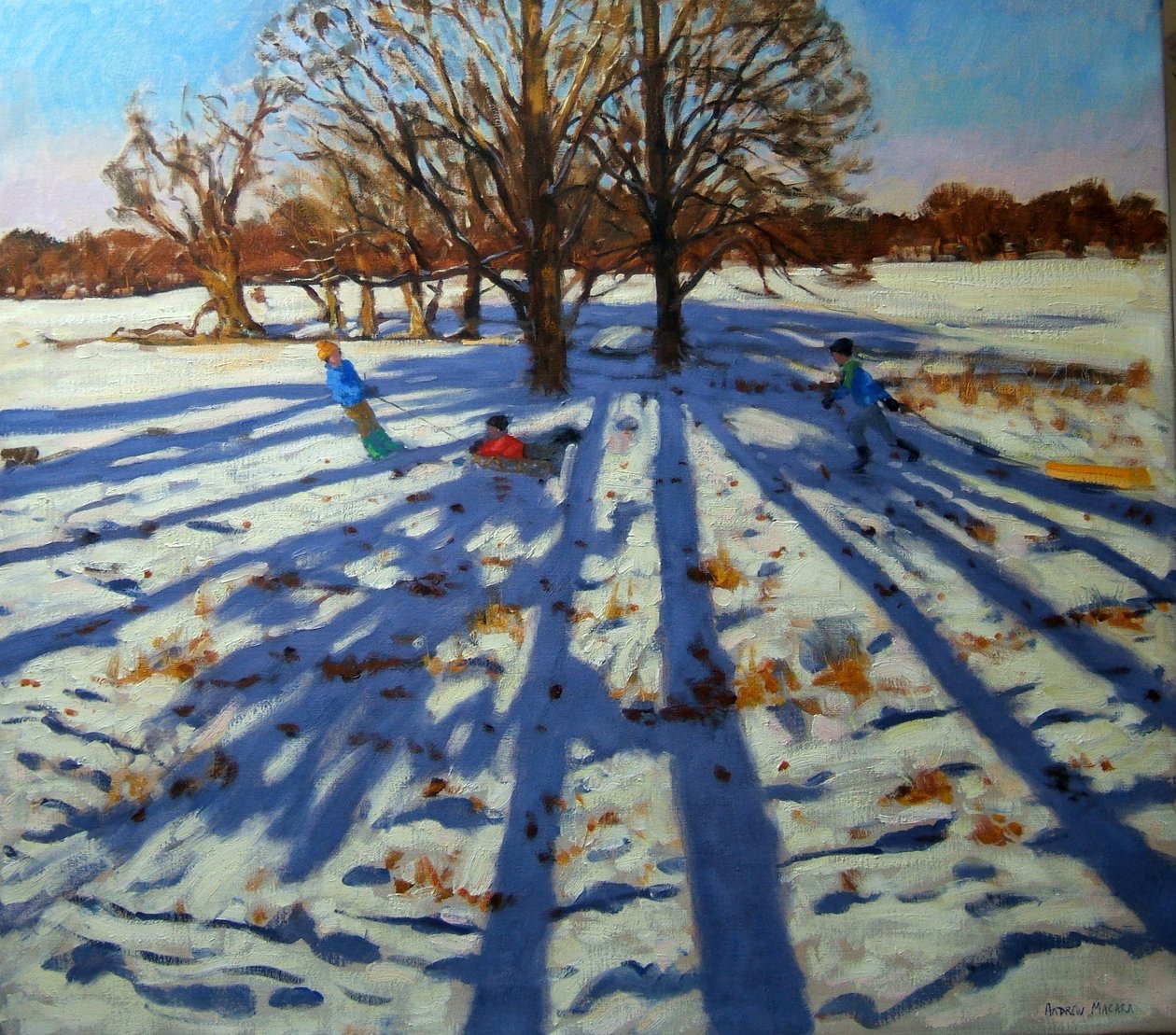 Middenwinter, Calke Abbey, Derbyshire door Andrew Macara