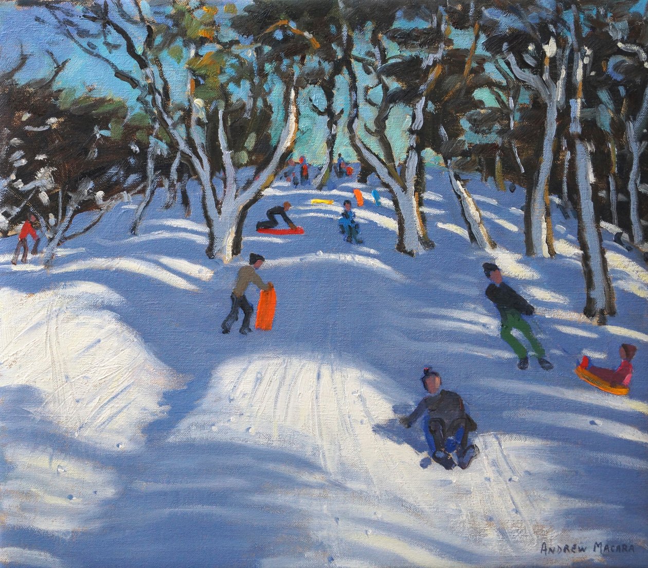 Sleeën bij Ladmanlow, 2012 door Andrew Macara