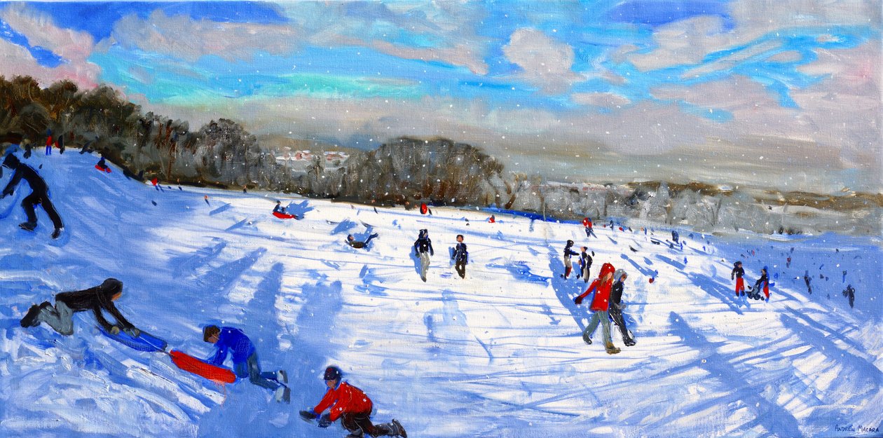 Sneeuwvlagen, Allestree Park, Derby door Andrew Macara