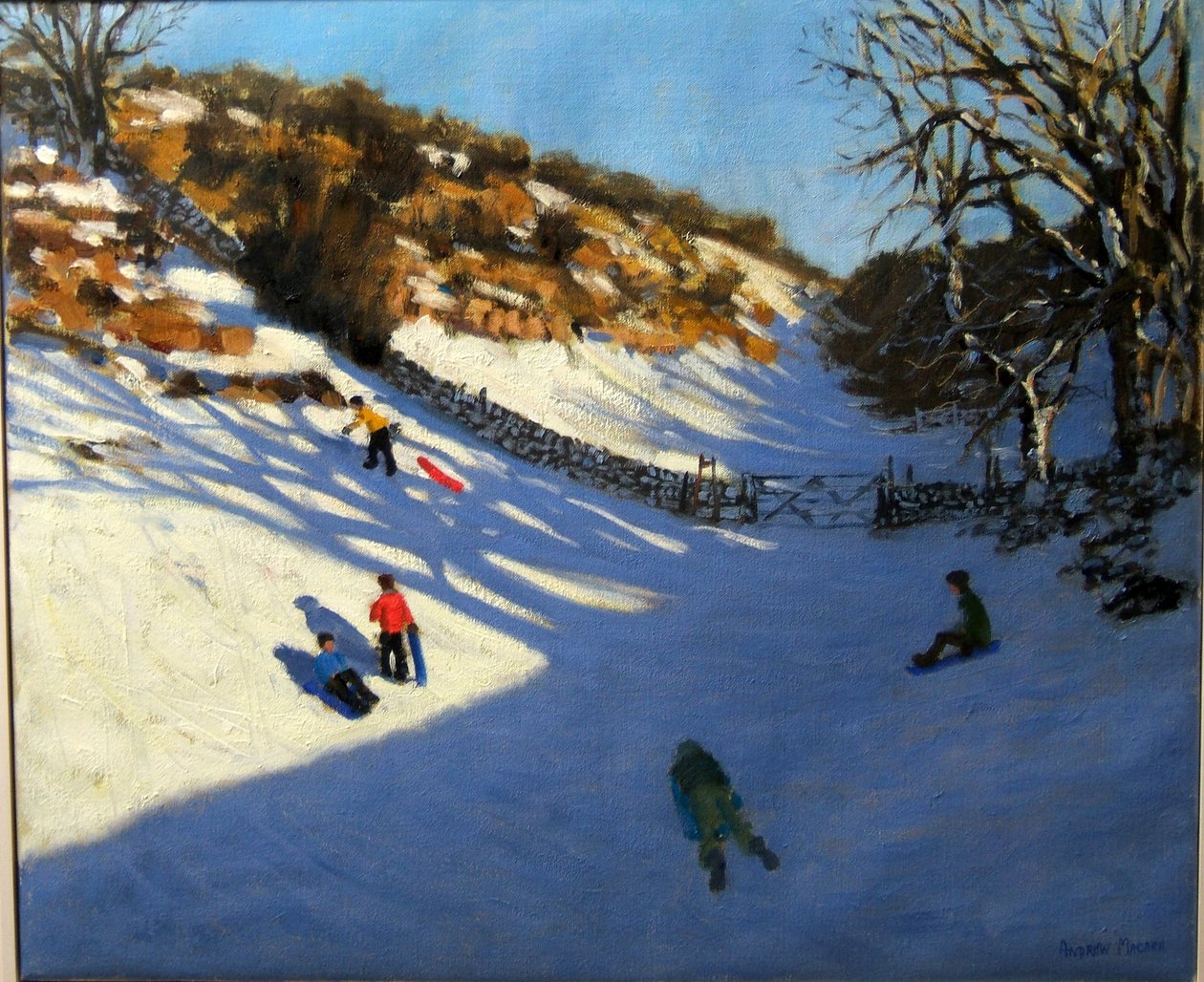 Sneeuw in de vallei, nabij Monyash, Derbyshire door Andrew Macara