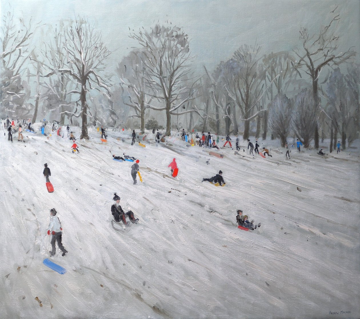 Rodelaars, Darley Park, 2009 door Andrew Macara
