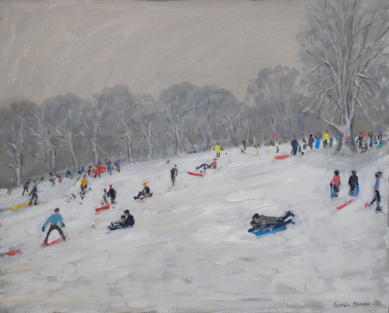 Winter, Darley Park, 2009 door Andrew Macara