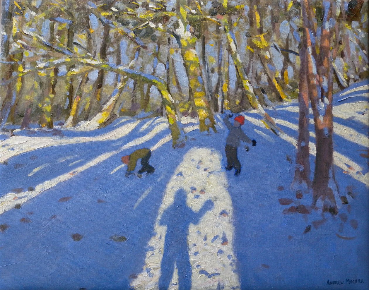 Winter Elvaston Castle, 2008 door Andrew Macara