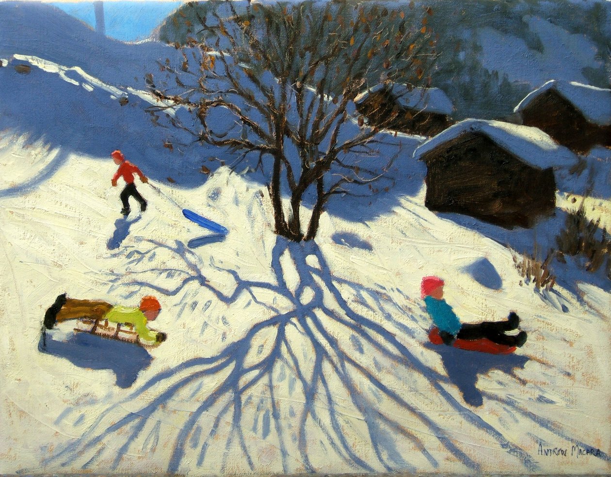 Winterheuvel, Morzine, Frankrijk door Andrew Macara