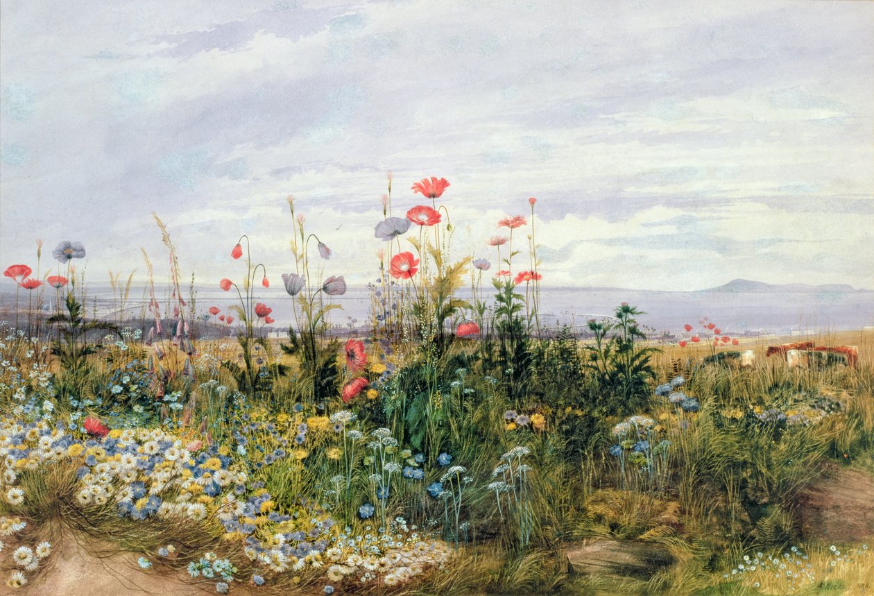 Wilde bloemen met uitzicht op Dublin Dunleary door Andrew Nicholl