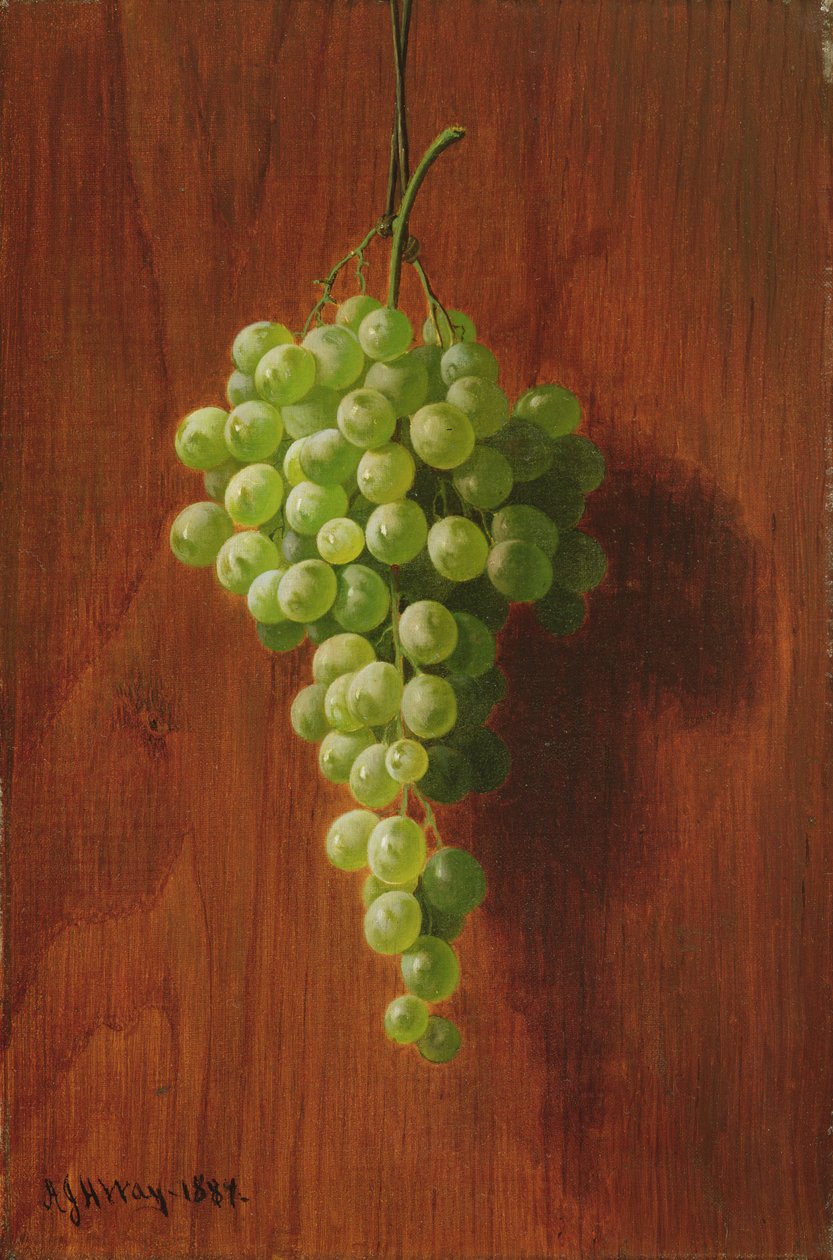 Druiven (Groen), 1884 door Andrew John Henry Way