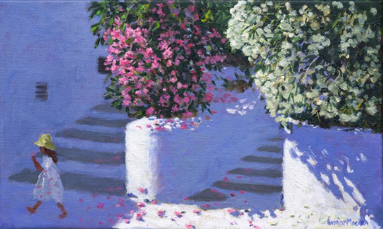 Bougainvillea, Anandas, Milos, Griekse Eilanden, 2017 door Andrew Macara