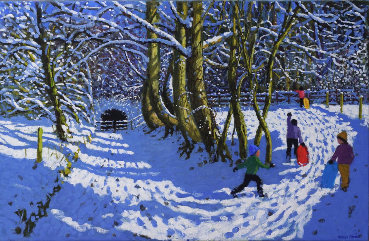 Sleetje rijden, Calke Abbey door Andrew Macara