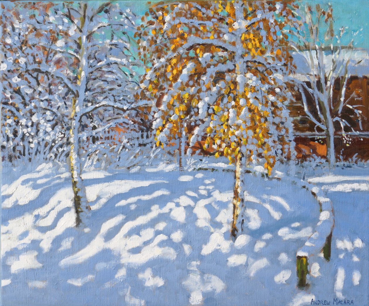 Gouden Bladeren in de Winter, Normanton, Derby door Andrew Macara