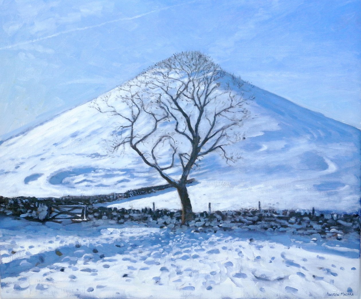 Heuvel en boom, Derbyshire, 2008 door Andrew Macara