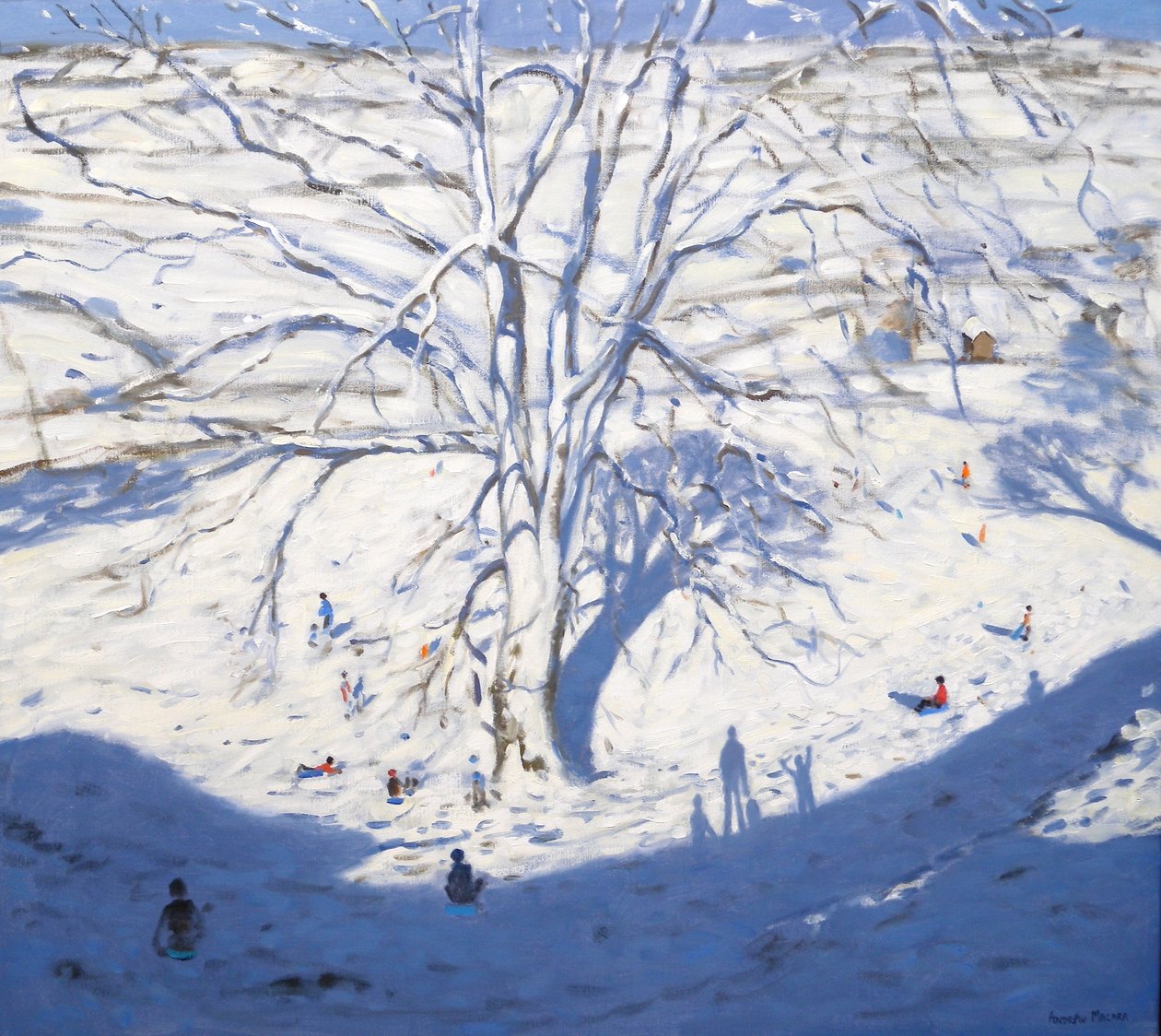 Heuvel, Elton nabij Rowsley, 2008 door Andrew Macara