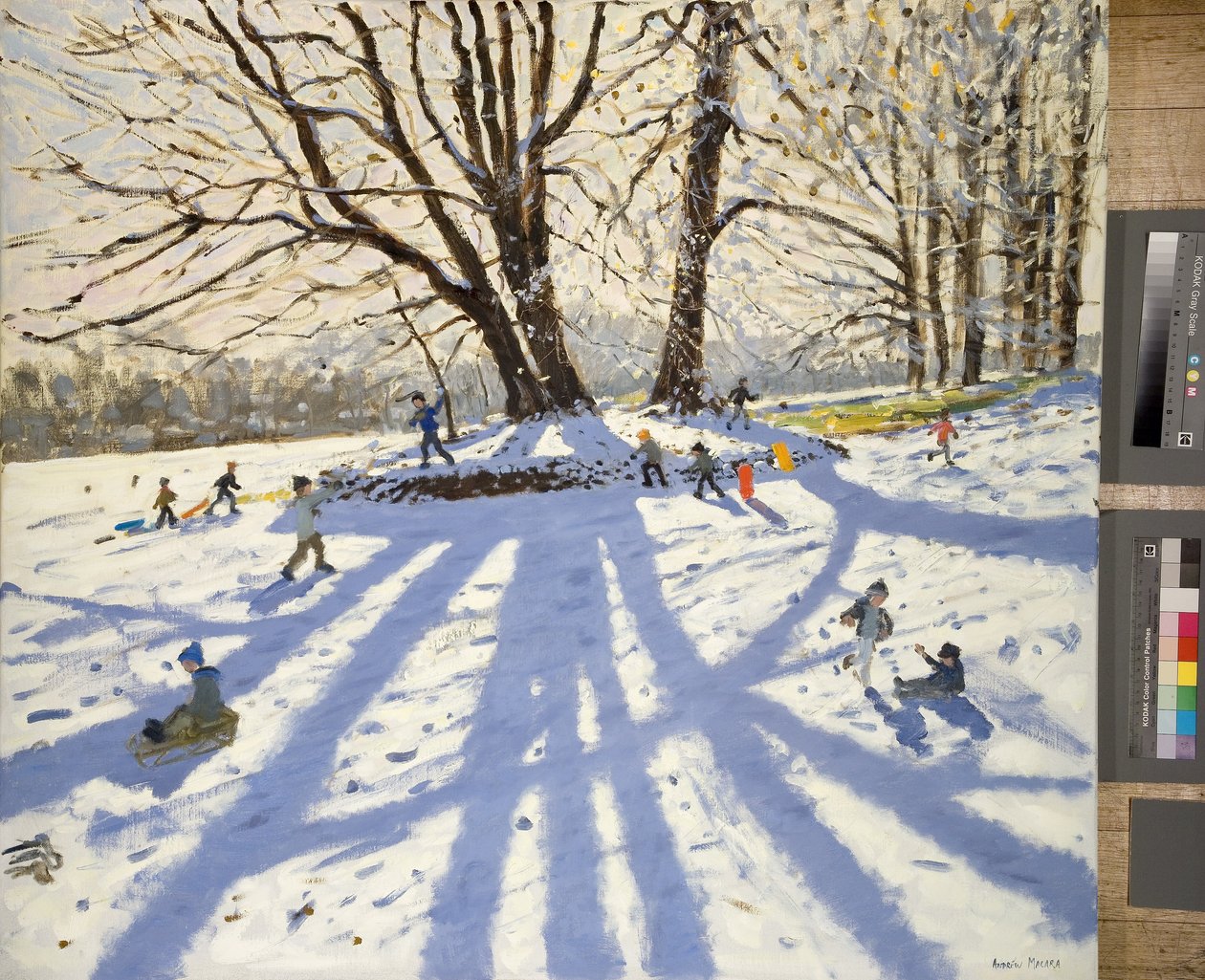 Lomberdale Hall, Derbyshire door Andrew Macara
