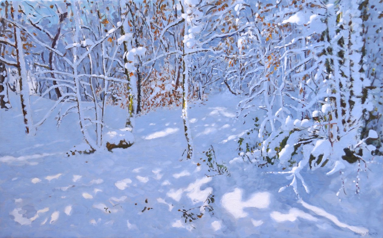 November Sneeuw, Allestree Woods, Derby door Andrew Macara