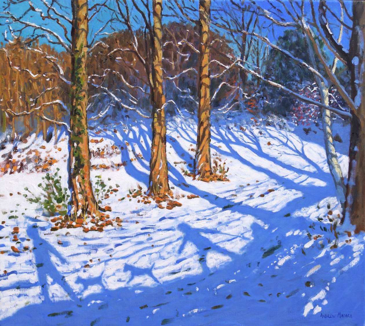 November sneeuw, Allestree Park, Derby, 2017 door Andrew Macara