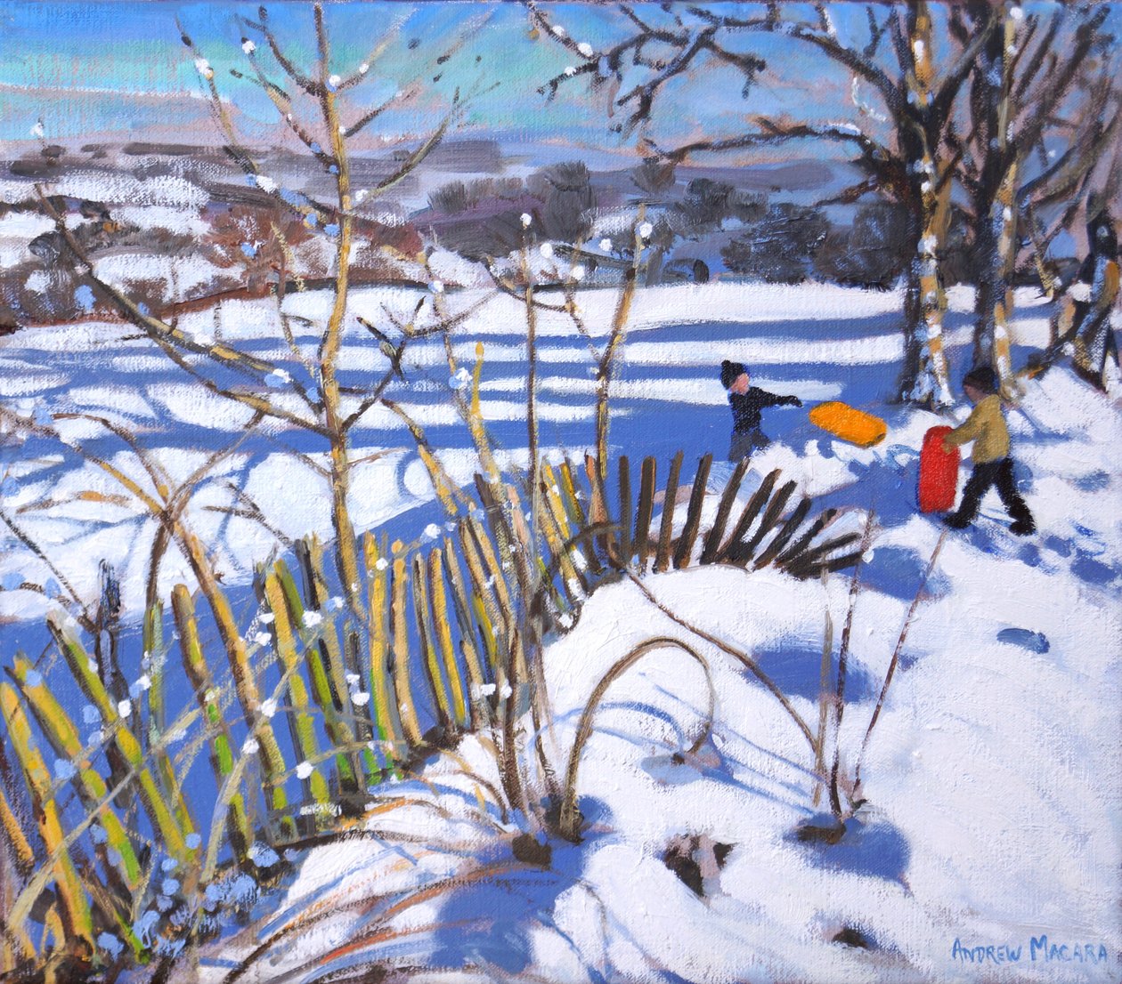 Rode en oranje sleeën, Derbyshire door Andrew Macara