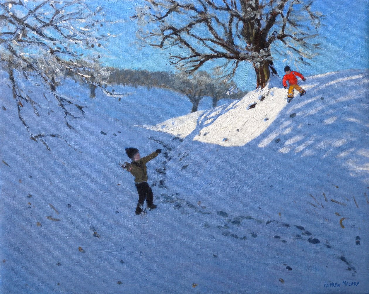 Sneeuwballen door Andrew Macara