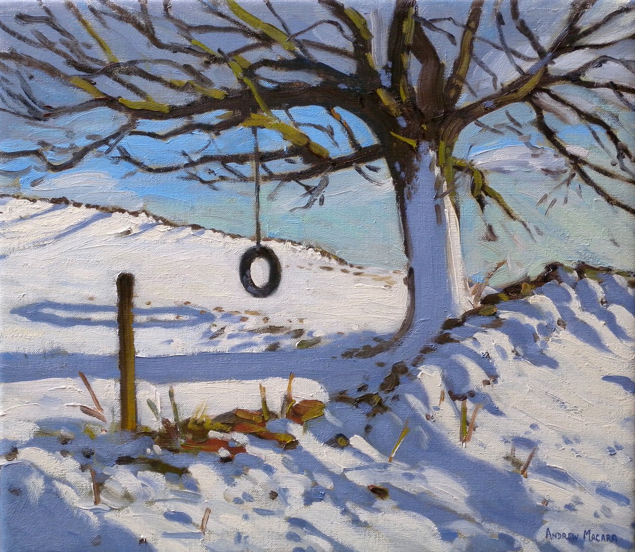 De Schommel, 2011 door Andrew Macara