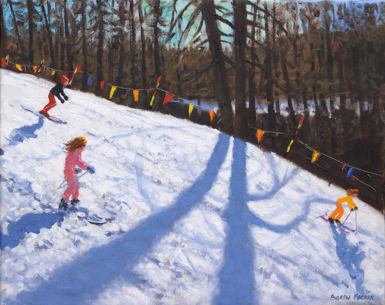 Drie Valleien skiën door Andrew Macara