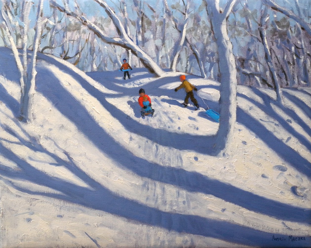 Winter, Bramcote, Nottingham, 2009 door Andrew Macara