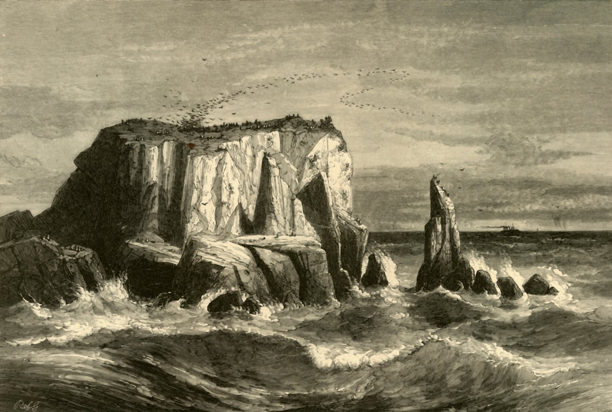 Kustscène, Marin County, 1872 door Andrew Varick Stout Anthony