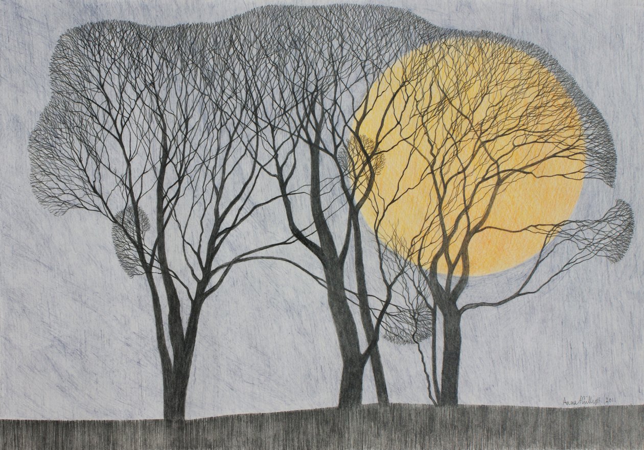Megamoon door Anna Phillips