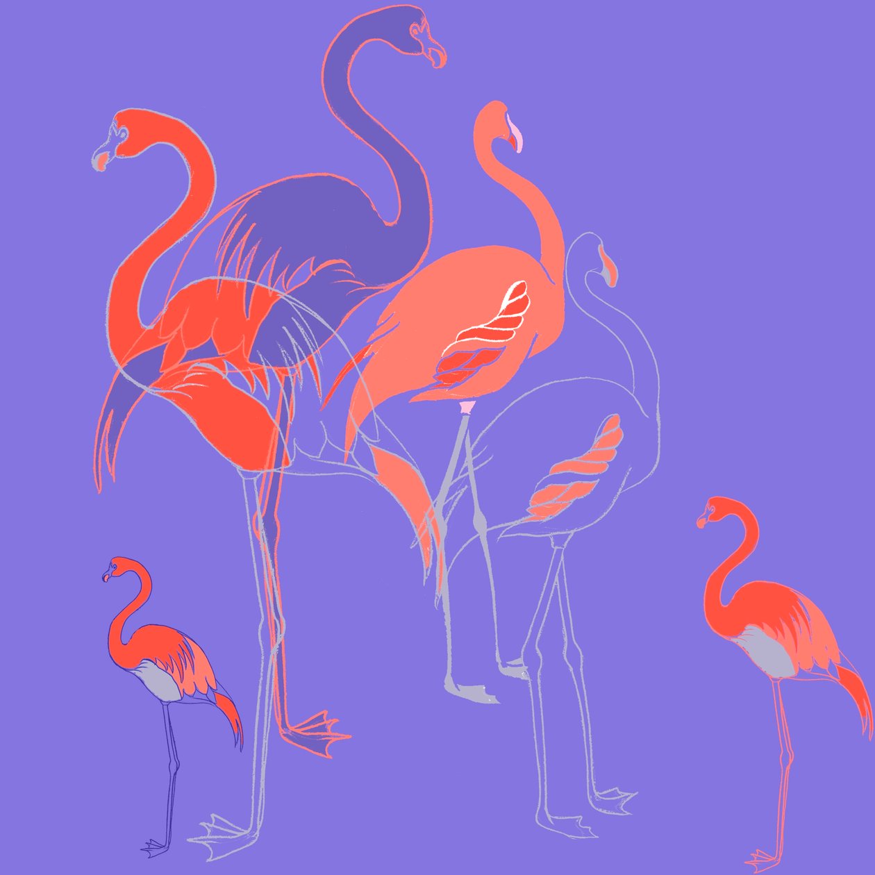 Flamingo
