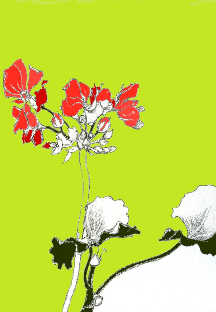 Geranium door Anna Platts