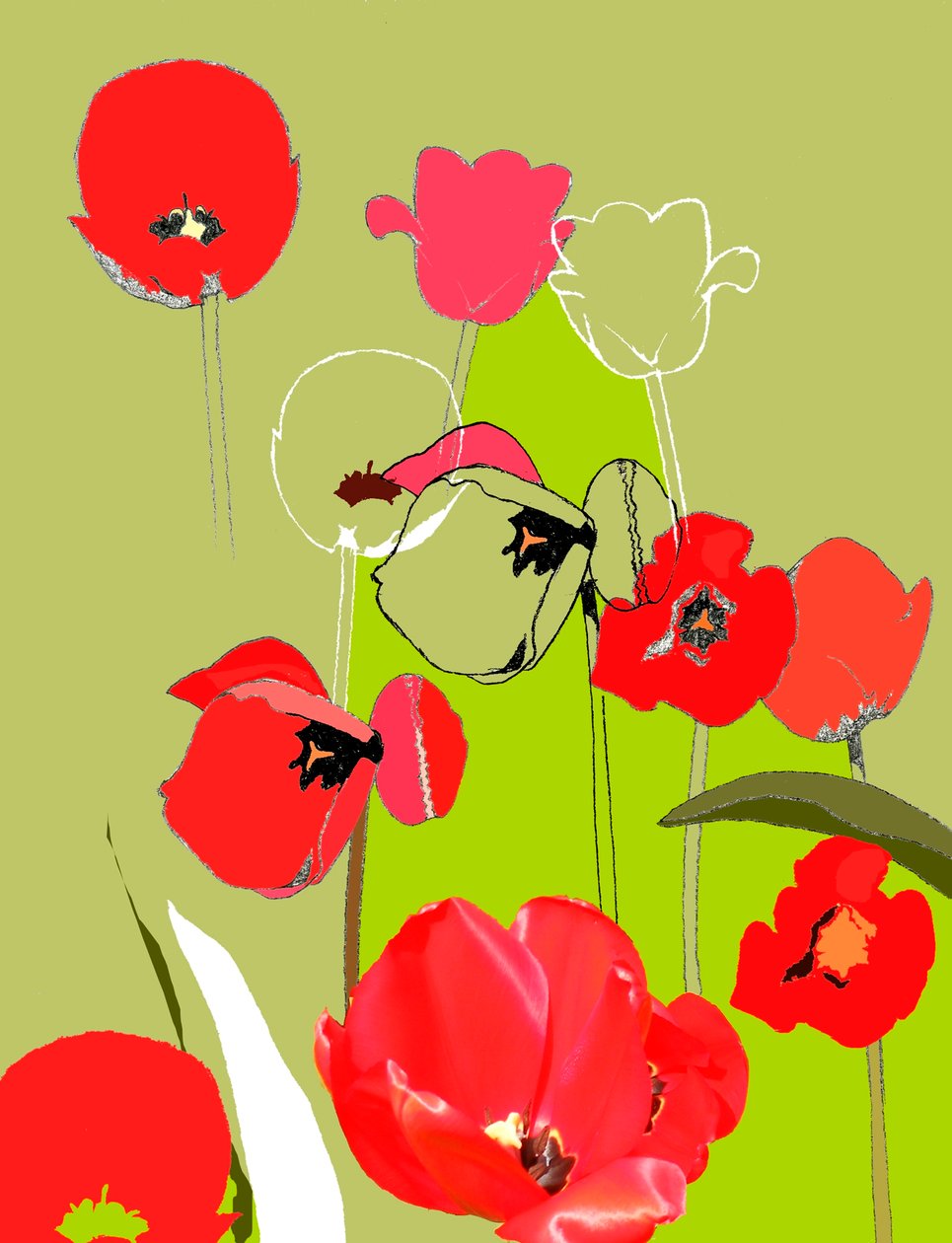 Tulp door Anna Platts