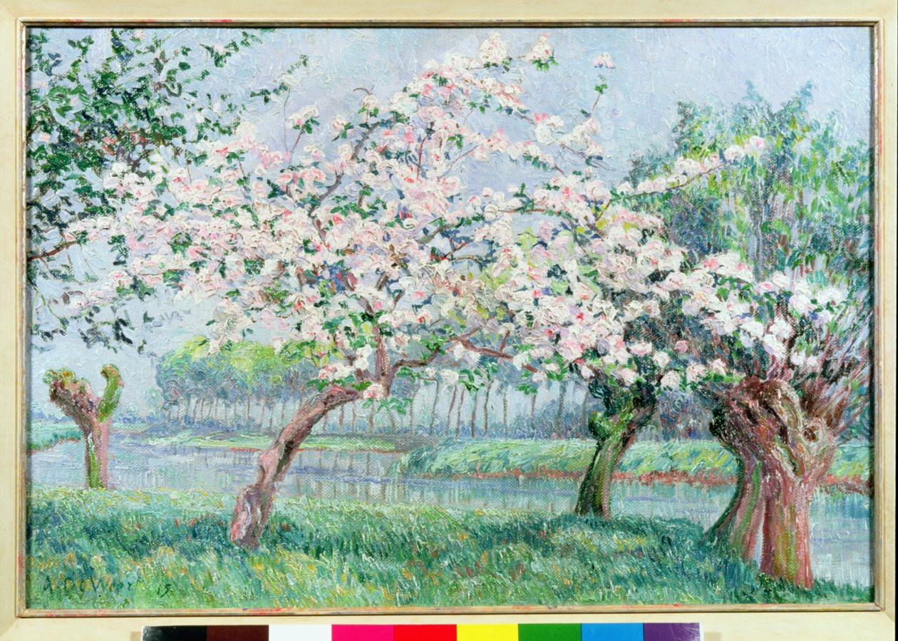 Appelbloesem aan de rivierkant door Anna de Weert