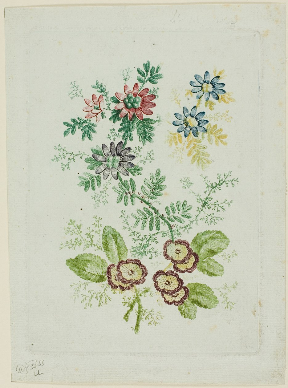 Bloemen door Anne Allen