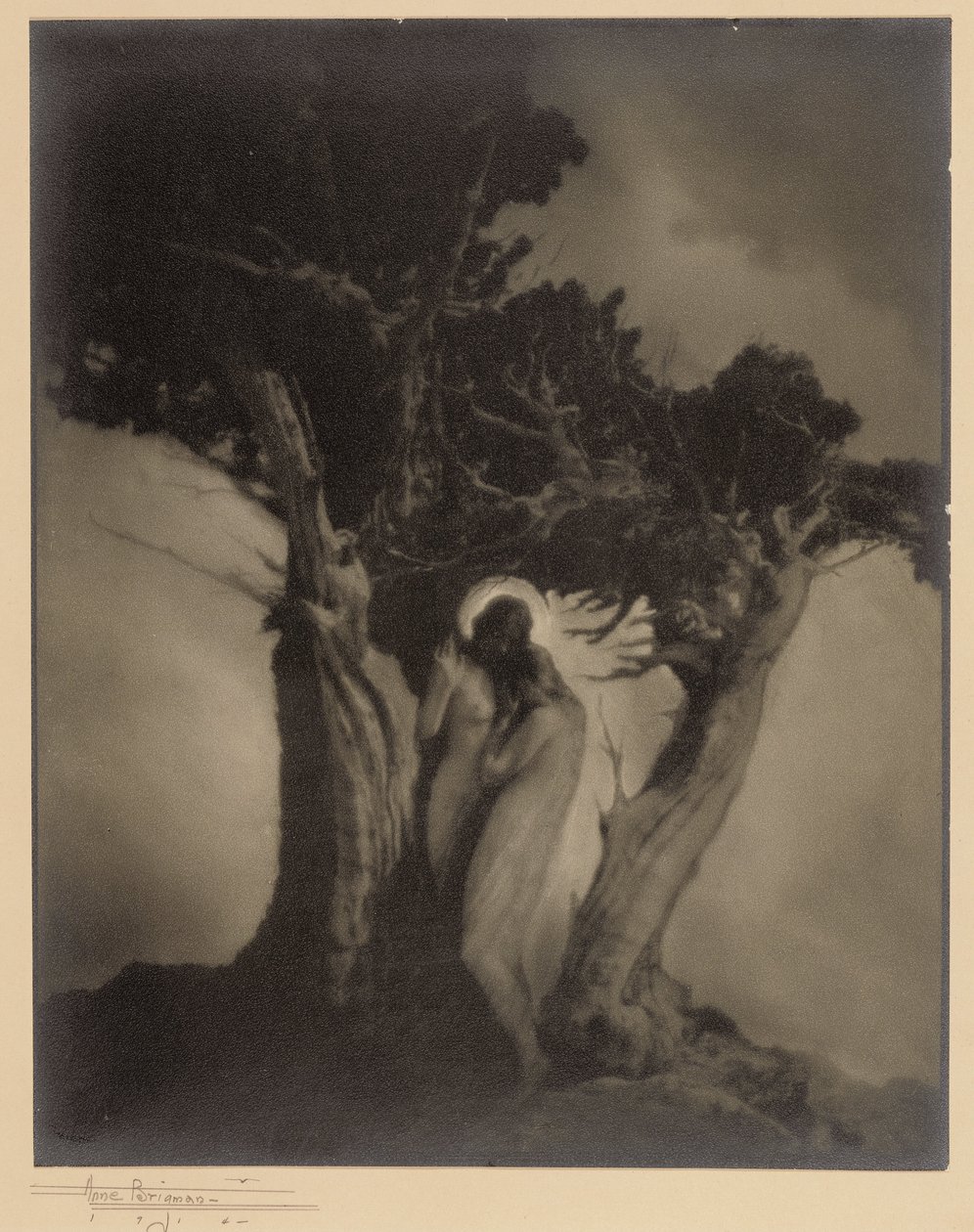 Het hart van de storm door Anne W. Brigman