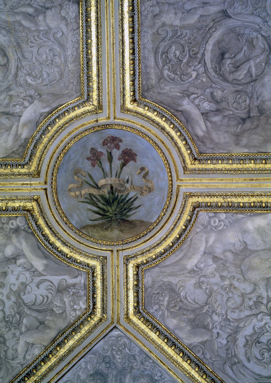 Bloemendecoratie op het plafond, uit de 